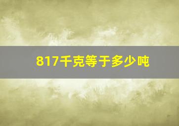 817千克等于多少吨