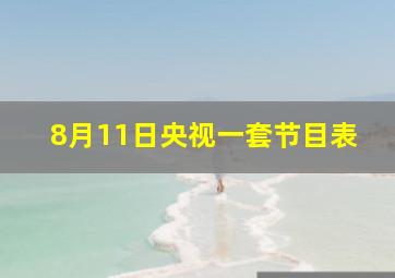 8月11日央视一套节目表