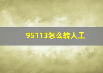 95113怎么转人工