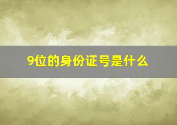 9位的身份证号是什么