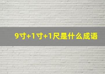 9寸+1寸+1尺是什么成语