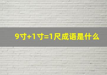 9寸+1寸=1尺成语是什么