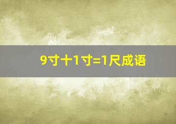 9寸十1寸=1尺成语