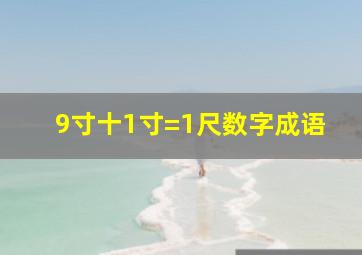 9寸十1寸=1尺数字成语