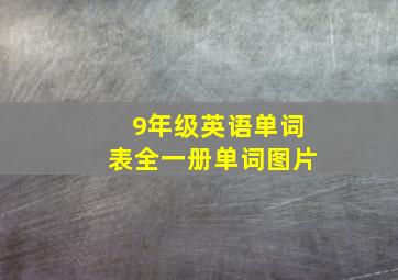 9年级英语单词表全一册单词图片