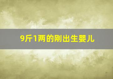 9斤1两的刚出生婴儿