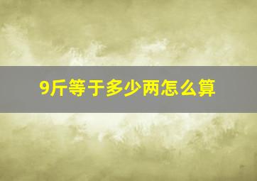 9斤等于多少两怎么算