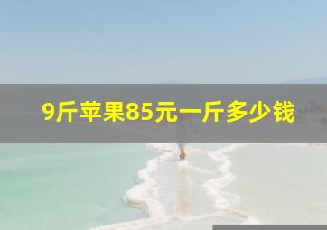 9斤苹果85元一斤多少钱