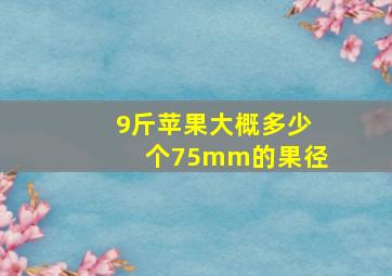 9斤苹果大概多少个75mm的果径