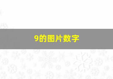 9的图片数字