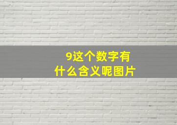 9这个数字有什么含义呢图片