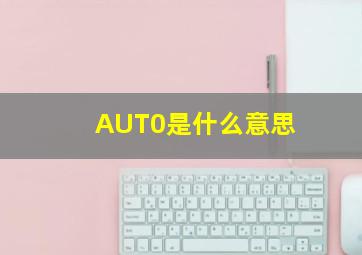 AUT0是什么意思