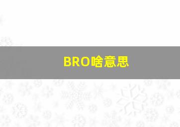 BRO啥意思