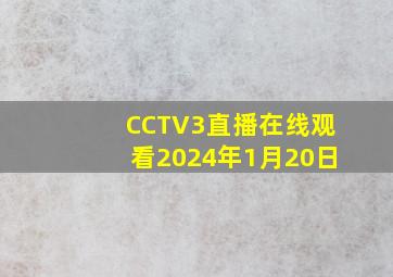 CCTV3直播在线观看2024年1月20日