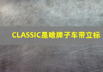 CLASSIC是啥牌子车带立标