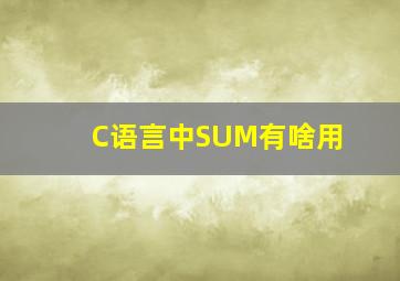 C语言中SUM有啥用