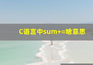 C语言中sum+=啥意思