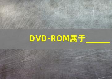 DVD-ROM属于______