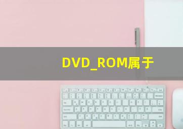 DVD_ROM属于