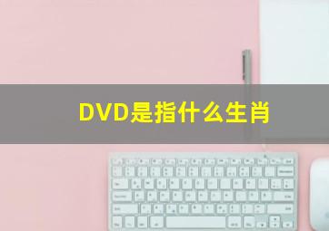 DVD是指什么生肖