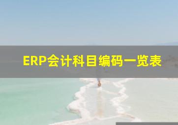 ERP会计科目编码一览表