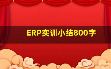 ERP实训小结800字