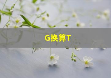 G换算T