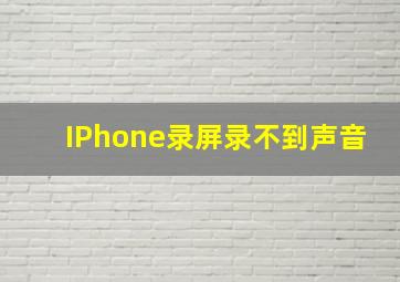 IPhone录屏录不到声音