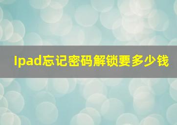 Ipad忘记密码解锁要多少钱