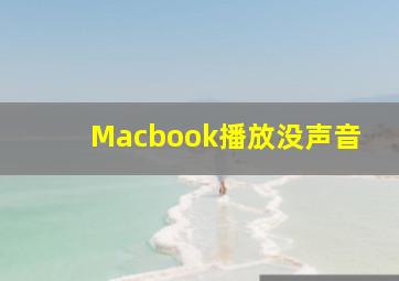 Macbook播放没声音