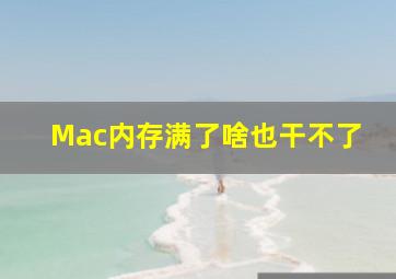 Mac内存满了啥也干不了