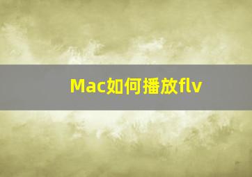 Mac如何播放flv