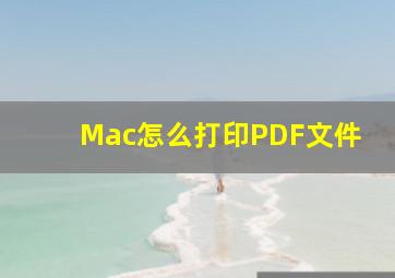 Mac怎么打印PDF文件