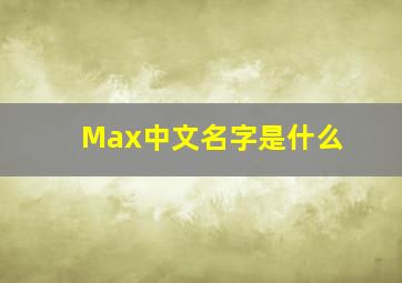 Max中文名字是什么