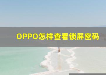 OPPO怎样查看锁屏密码