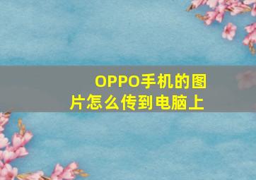 OPPO手机的图片怎么传到电脑上