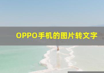 OPPO手机的图片转文字