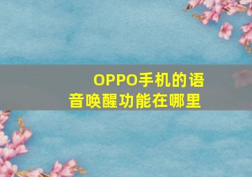 OPPO手机的语音唤醒功能在哪里