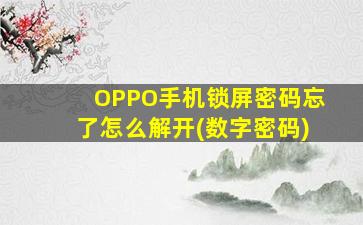 OPPO手机锁屏密码忘了怎么解开(数字密码)