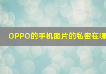 OPPO的手机图片的私密在哪