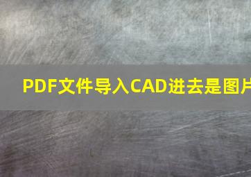 PDF文件导入CAD进去是图片