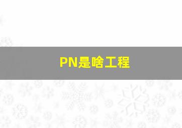 PN是啥工程