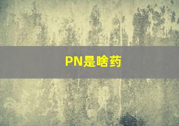 PN是啥药