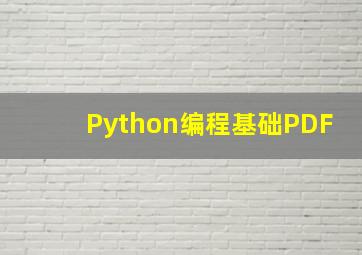 Python编程基础PDF