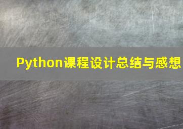 Python课程设计总结与感想