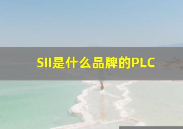 SII是什么品牌的PLC