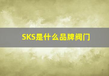 SKS是什么品牌阀门