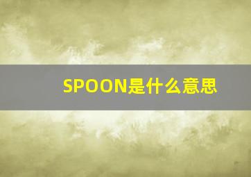 SPOON是什么意思