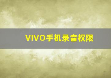 VIVO手机录音权限