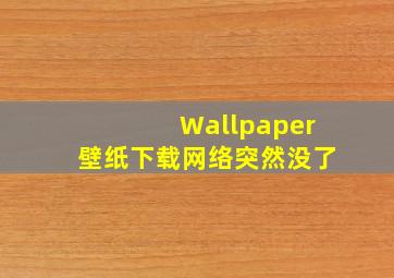 Wallpaper壁纸下载网络突然没了